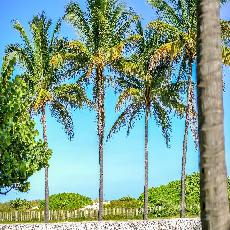 Hilton Vacation Club Crescent On South Beach Miami Miami Beach Esterno foto